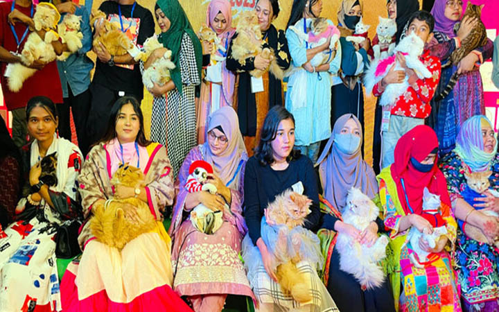 ফেনীতে অর্ধশত বিড়ালের ব্যতিক্রমী প্রদর্শনী